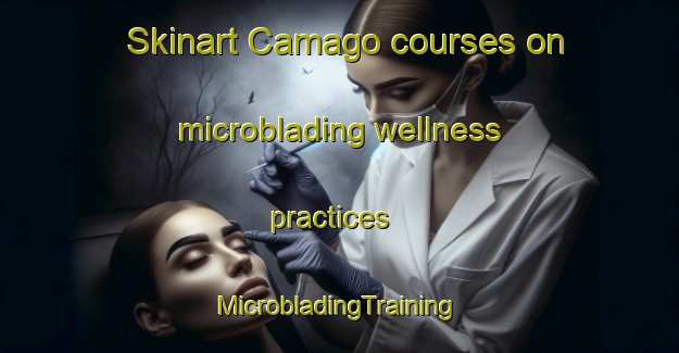 Skinart Camago courses on microblading wellness practices | #MicrobladingTraining #MicrobladingClasses #SkinartTraining-Philippines