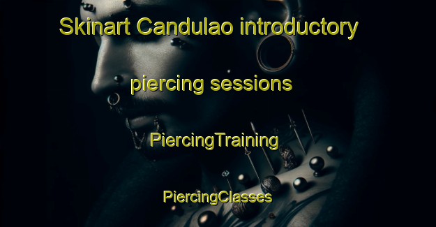 Skinart Candulao introductory piercing sessions | #PiercingTraining #PiercingClasses #SkinartTraining-Philippines