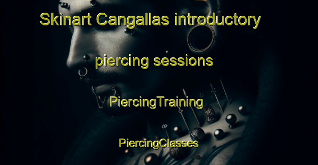 Skinart Cangallas introductory piercing sessions | #PiercingTraining #PiercingClasses #SkinartTraining-Philippines