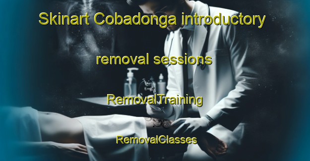 Skinart Cobadonga introductory removal sessions | RemovalTraining | RemovalClasses | SkinartTraining-Philippines