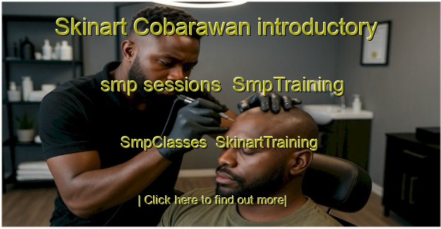 Skinart Cobarawan introductory smp sessions | SmpTraining | SmpClasses | SkinartTraining-Philippines