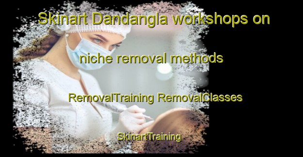 Skinart Dandangla workshops on niche removal methods | #RemovalTraining #RemovalClasses #SkinartTraining-Philippines