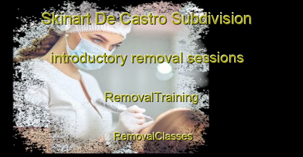 Skinart De Castro Subdivision introductory removal sessions | RemovalTraining | RemovalClasses | SkinartTraining-Philippines