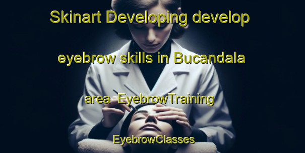 Skinart Developing develop eyebrow skills in Bucandala area | EyebrowTraining | EyebrowClasses | SkinartTraining-Philippines