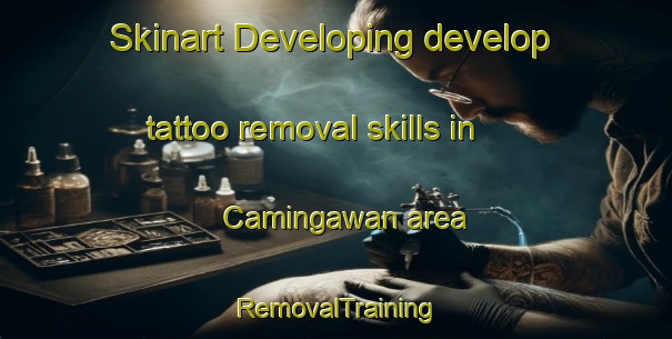 Skinart Developing develop tattoo removal skills in Camingawan area | RemovalTraining | RemovalClasses | SkinartTraining-Philippines