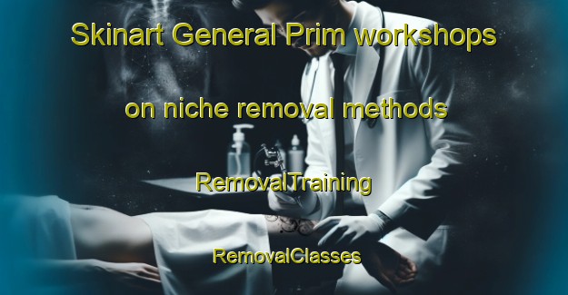 Skinart General Prim workshops on niche removal methods | RemovalTraining | RemovalClasses | SkinartTraining-Philippines