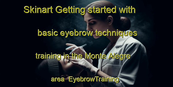 Skinart Getting started with basic eyebrow techniques training in the Monte Alegre area | EyebrowTraining | EyebrowClasses | SkinartTraining-Philippines