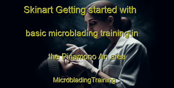 Skinart Getting started with basic microblading training in the Pinamono An area | MicrobladingTraining | MicrobladingClasses | SkinartTraining-Philippines