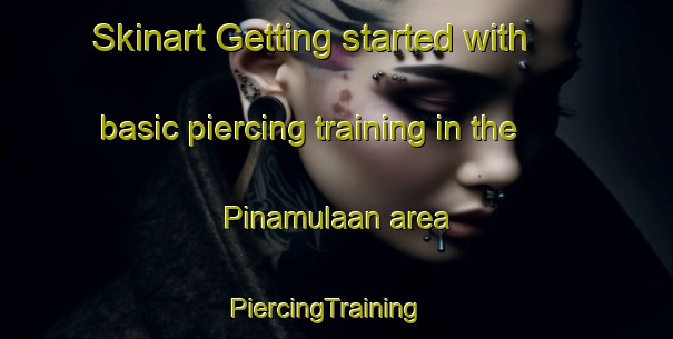 Skinart Getting started with basic piercing training in the Pinamulaan area | PiercingTraining | PiercingClasses | SkinartTraining-Philippines