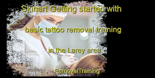 Skinart Getting started with basic tattoo removal training in the Larey area | RemovalTraining | RemovalClasses | SkinartTraining-Philippines