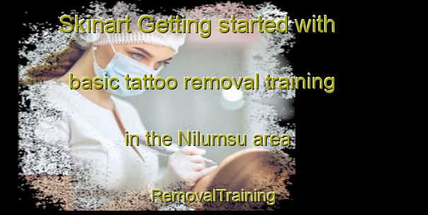 Skinart Getting started with basic tattoo removal training in the Nilumsu area | RemovalTraining | RemovalClasses | SkinartTraining-Philippines