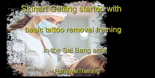 Skinart Getting started with basic tattoo removal training in the Sal Bang area | RemovalTraining | RemovalClasses | SkinartTraining-Philippines