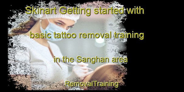 Skinart Getting started with basic tattoo removal training in the Sanghan area | RemovalTraining | RemovalClasses | SkinartTraining-Philippines