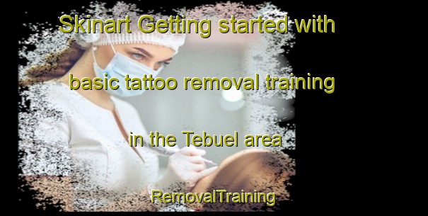Skinart Getting started with basic tattoo removal training in the Tebuel area | RemovalTraining | RemovalClasses | SkinartTraining-Philippines