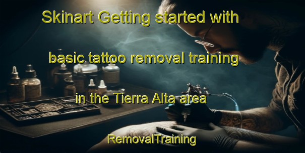 Skinart Getting started with basic tattoo removal training in the Tierra Alta area | RemovalTraining | RemovalClasses | SkinartTraining-Philippines