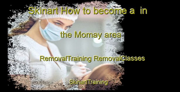 Skinart How to become a  in the Momay area | #RemovalTraining #RemovalClasses #SkinartTraining-Philippines