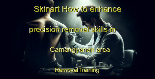 Skinart How to enhance precision removal skills in Camangyanan area | RemovalTraining | RemovalClasses | SkinartTraining-Philippines
