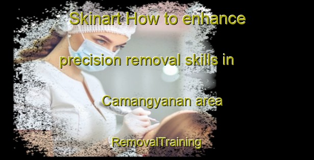 Skinart How to enhance precision removal skills in Camangyanan area | RemovalTraining | RemovalClasses | SkinartTraining-Philippines