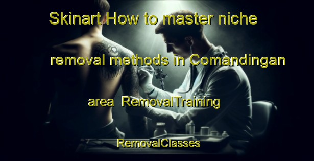 Skinart How to master niche removal methods in Comandingan area | RemovalTraining | RemovalClasses | SkinartTraining-Philippines