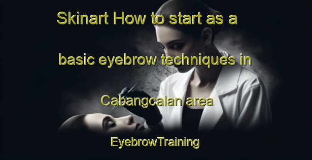 Skinart How to start as a basic eyebrow techniques in Cabangcalan area | EyebrowTraining | EyebrowClasses | SkinartTraining-Philippines