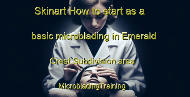 Skinart How to start as a basic microblading in Emerald Crest Subdivision area | MicrobladingTraining | MicrobladingClasses | SkinartTraining-Philippines