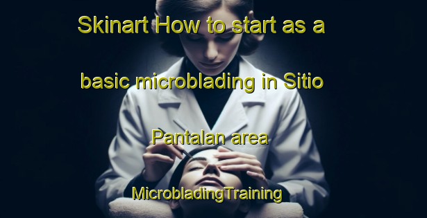 Skinart How to start as a basic microblading in Sitio Pantalan area | MicrobladingTraining | MicrobladingClasses | SkinartTraining-Philippines