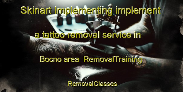 Skinart Implementing implement a tattoo removal service in Bocno area | RemovalTraining | RemovalClasses | SkinartTraining-Philippines
