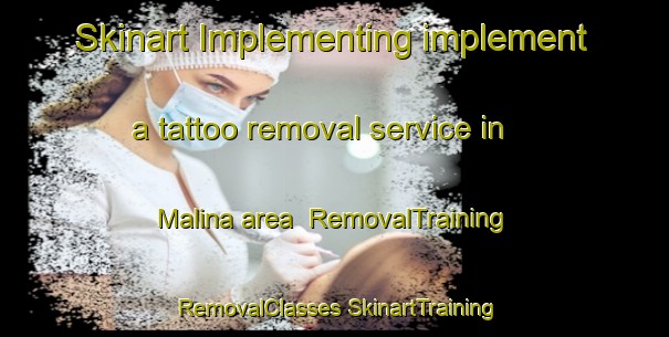 Skinart Implementing implement a tattoo removal service in Malina area | #RemovalTraining #RemovalClasses #SkinartTraining-Philippines