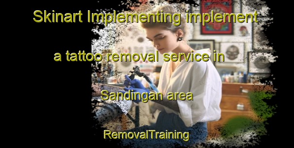 Skinart Implementing implement a tattoo removal service in Sandingan area | RemovalTraining | RemovalClasses | SkinartTraining-Philippines