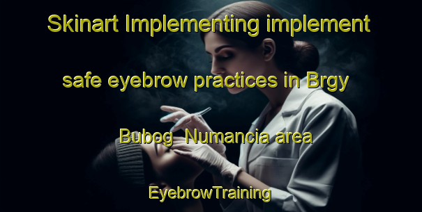 Skinart Implementing implement safe eyebrow practices in Brgy  Bubog  Numancia area | EyebrowTraining | EyebrowClasses | SkinartTraining-Philippines
