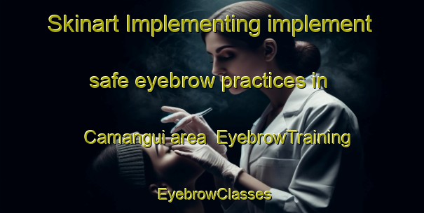 Skinart Implementing implement safe eyebrow practices in Camangui area | EyebrowTraining | EyebrowClasses | SkinartTraining-Philippines