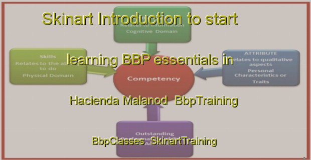 Skinart Introduction to start learning BBP essentials in Hacienda Malanod | BbpTraining | BbpClasses | SkinartTraining-Philippines