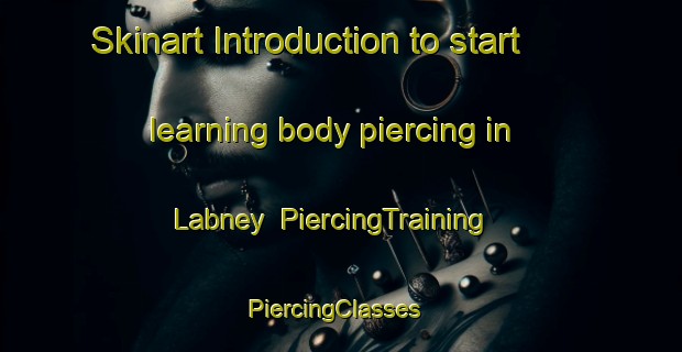 Skinart Introduction to start learning body piercing in Labney | PiercingTraining | PiercingClasses | SkinartTraining-Philippines