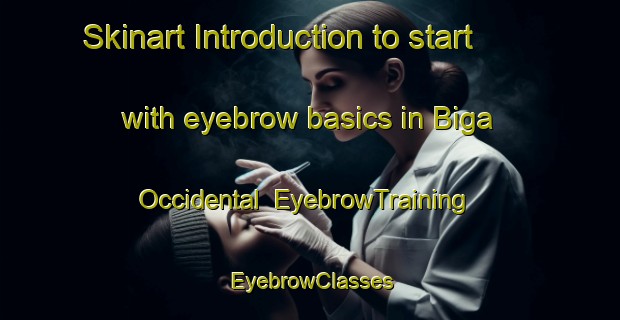 Skinart Introduction to start with eyebrow basics in Biga Occidental | EyebrowTraining | EyebrowClasses | SkinartTraining-Philippines