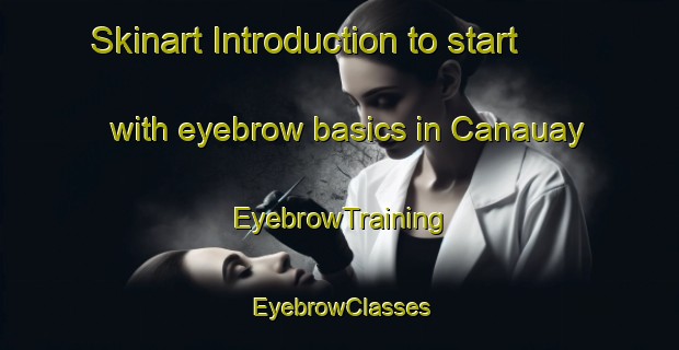 Skinart Introduction to start with eyebrow basics in Canauay | EyebrowTraining | EyebrowClasses | SkinartTraining-Philippines