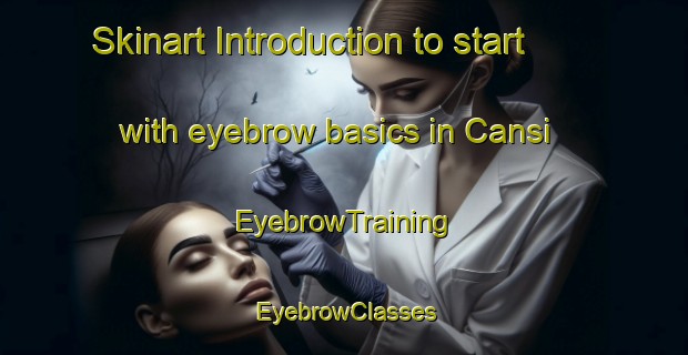 Skinart Introduction to start with eyebrow basics in Cansi | EyebrowTraining | EyebrowClasses | SkinartTraining-Philippines