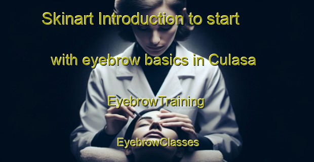 Skinart Introduction to start with eyebrow basics in Culasa | EyebrowTraining | EyebrowClasses | SkinartTraining-Philippines