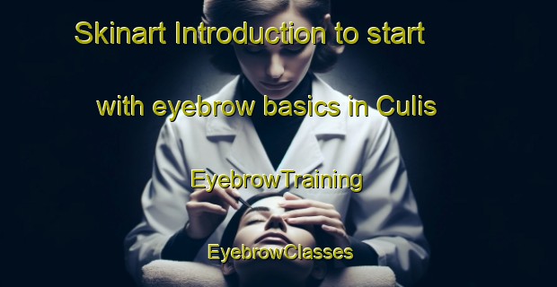 Skinart Introduction to start with eyebrow basics in Culis | EyebrowTraining | EyebrowClasses | SkinartTraining-Philippines