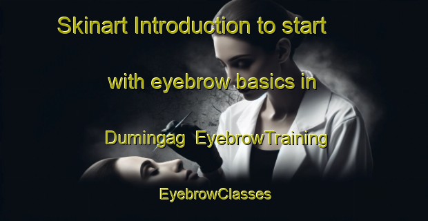 Skinart Introduction to start with eyebrow basics in Dumingag | EyebrowTraining | EyebrowClasses | SkinartTraining-Philippines
