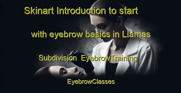 Skinart Introduction to start with eyebrow basics in Llamas Subdivision | EyebrowTraining | EyebrowClasses | SkinartTraining-Philippines
