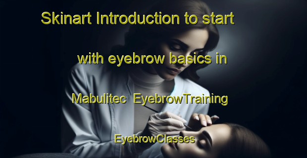 Skinart Introduction to start with eyebrow basics in Mabulitec | EyebrowTraining | EyebrowClasses | SkinartTraining-Philippines
