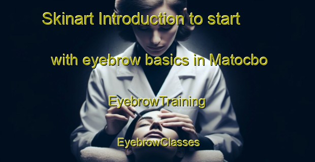 Skinart Introduction to start with eyebrow basics in Matocbo | EyebrowTraining | EyebrowClasses | SkinartTraining-Philippines