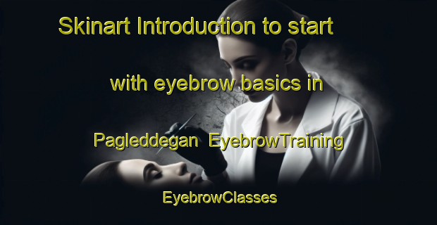 Skinart Introduction to start with eyebrow basics in Pagleddegan | EyebrowTraining | EyebrowClasses | SkinartTraining-Philippines