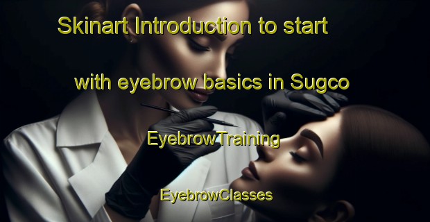 Skinart Introduction to start with eyebrow basics in Sugco | EyebrowTraining | EyebrowClasses | SkinartTraining-Philippines