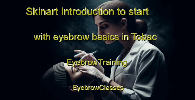 Skinart Introduction to start with eyebrow basics in Tobac | EyebrowTraining | EyebrowClasses | SkinartTraining-Philippines