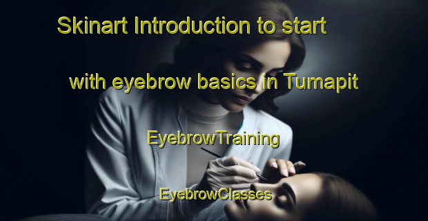 Skinart Introduction to start with eyebrow basics in Tumapit | EyebrowTraining | EyebrowClasses | SkinartTraining-Philippines