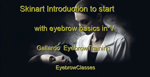 Skinart Introduction to start with eyebrow basics in V Gallardo | EyebrowTraining | EyebrowClasses | SkinartTraining-Philippines