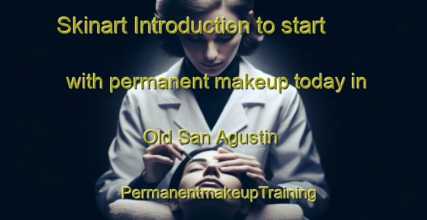Skinart Introduction to start with permanent makeup today in Old San Agustin | PermanentmakeupTraining | PermanentmakeupClasses | SkinartTraining-Philippines