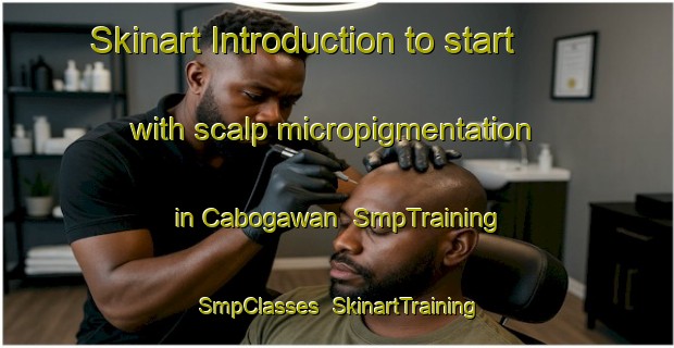 Skinart Introduction to start with scalp micropigmentation in Cabogawan | SmpTraining | SmpClasses | SkinartTraining-Philippines
