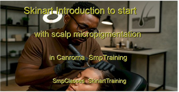Skinart Introduction to start with scalp micropigmentation in Canroma | SmpTraining | SmpClasses | SkinartTraining-Philippines